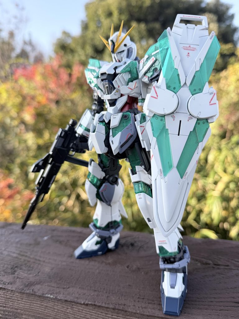 自宅の庭で撮影していますが、晩秋の紅葉にマッチしてます。