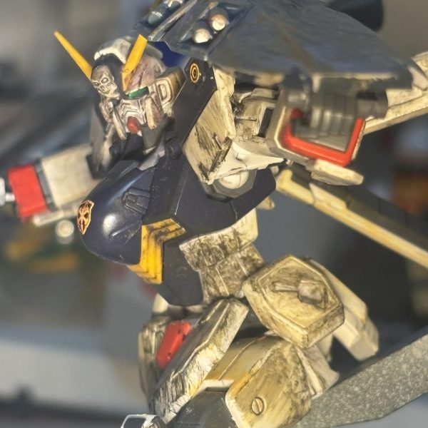 大海洋の海賊スカルヘッター