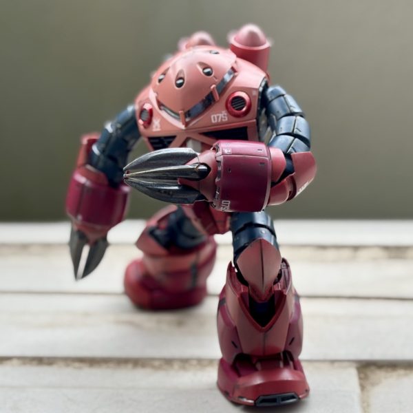 RG 1/144 MSM-07S シャア専用ズゴック