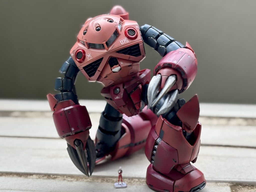 RG 1/144 MSM-07S シャア専用ズゴック–5枚目/制作者：mal__tese