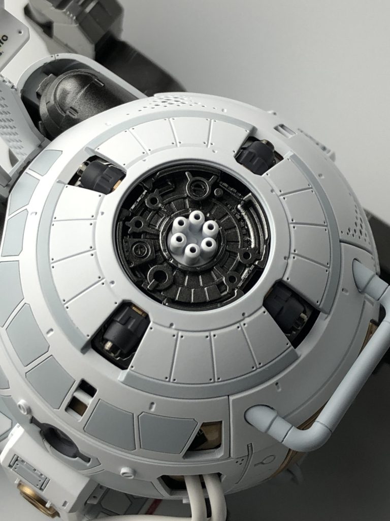 この作品は墨入れはしていません。深く正確なスジボリによる影だけなので自然な仕上がりです。