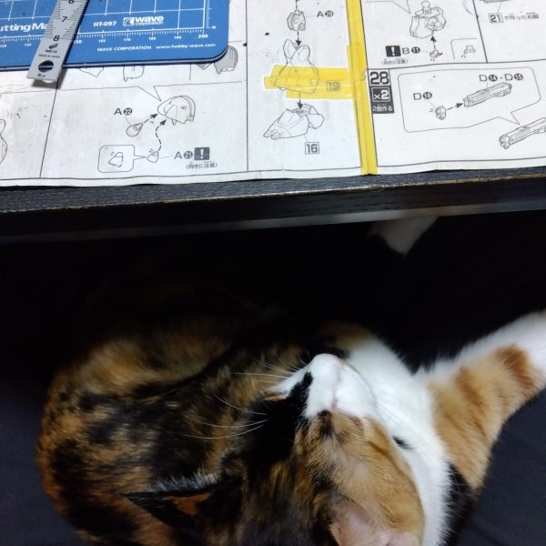 進むだけがガンプラではない…時には振り返って後悔するのもまたガンプラである😑はい、以前に投稿した画像②パーツの作り直しです😫他のパーツと合わせたらどうにもならないズレが出てしまいまして…泣く泣く再制作(zaku-kao9)作り方はバトンリレーで紹介した曲面パーツの作り方そのまんまですね(笑)基礎を作ってそこに細切りプラ板を貼っていき、画像③のように出来上がりですね☺️これが画像④のようになりますそんな風に切って貼って削ってをしている私の足元にはくつろぐニャンコ😸猫からの幸せと足の痺れは比例しますw(5枚目)