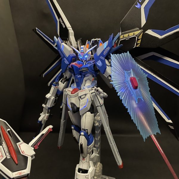 ライジングフリーダム　STTS-909