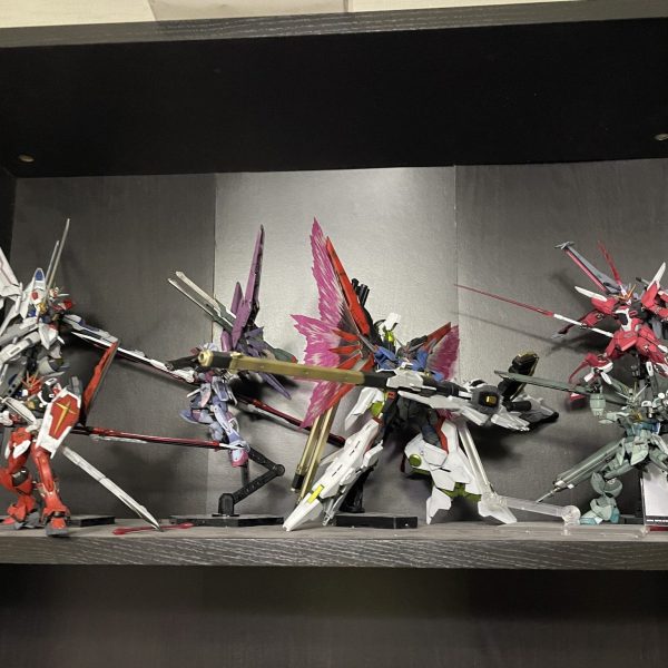 SEEDフリーダム！