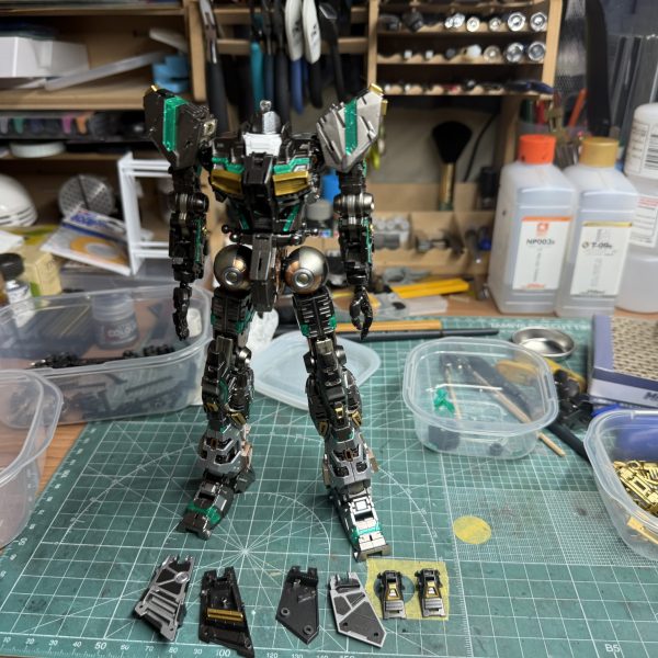 フレーム塗装って無茶苦茶大変やね・・・しかも見えなくなる。だがそれがいい。（3枚目）