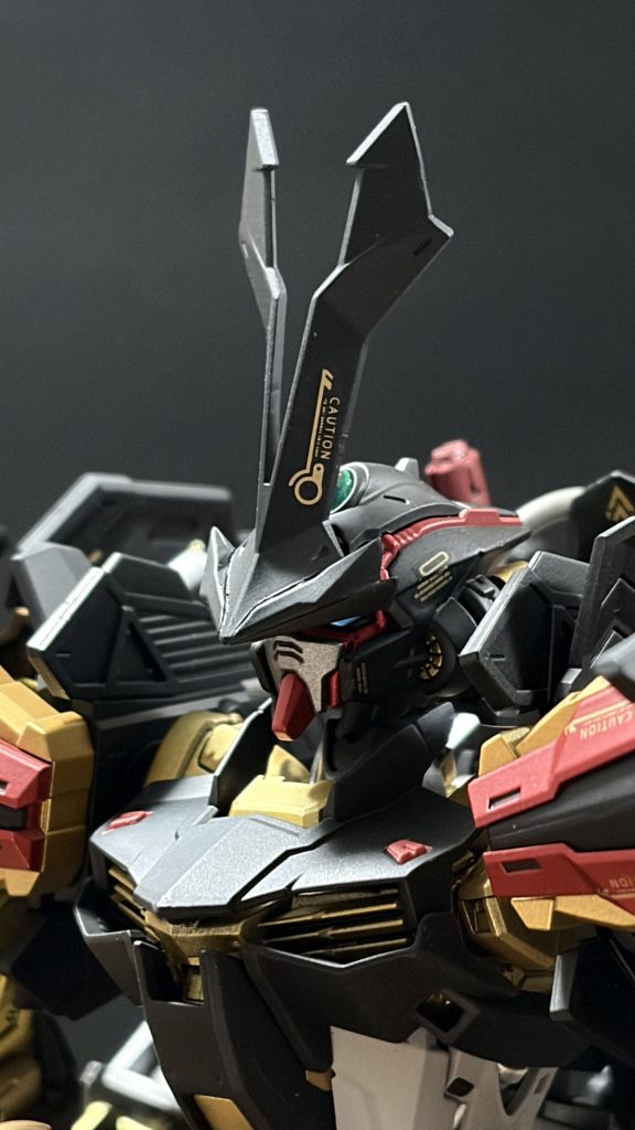 トップコートを吹きすぎて若干白くなってます。