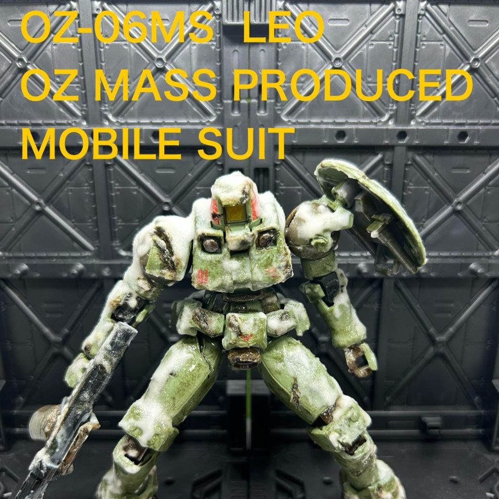 OZ-06MS LEO