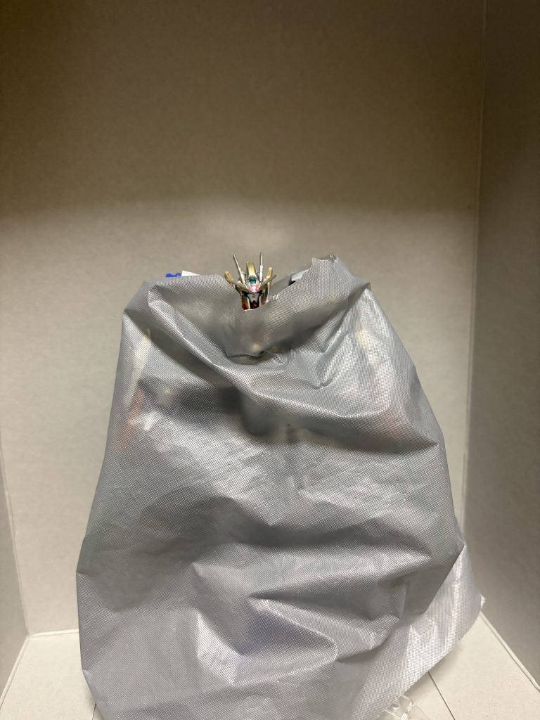 ダブルオーカイザーパール