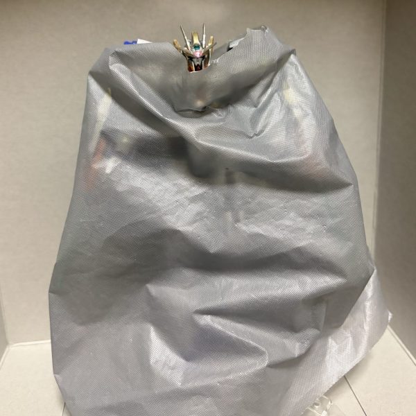 ダブルオーカイザーパール