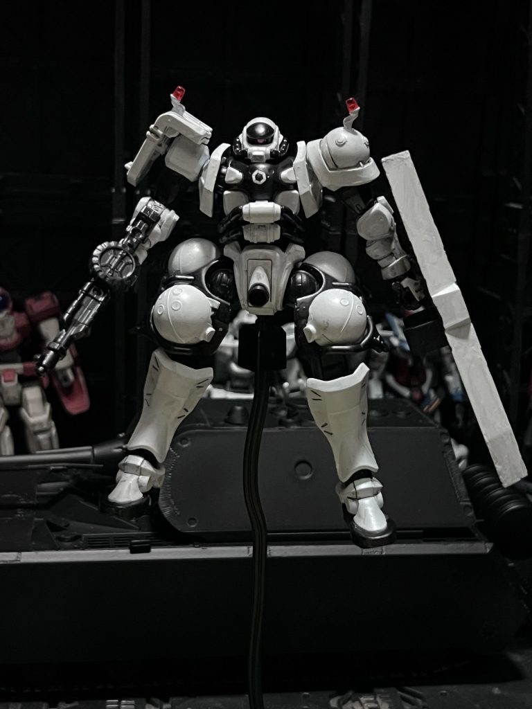 撮影中に墨入れに使ったエナメル系が侵食してしまい右腕の関節が割れた為に他のポーズができなくなってしまった