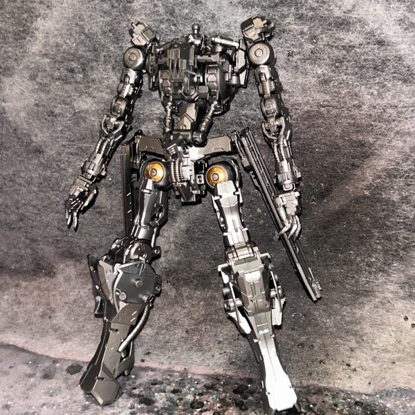 シルバーではない