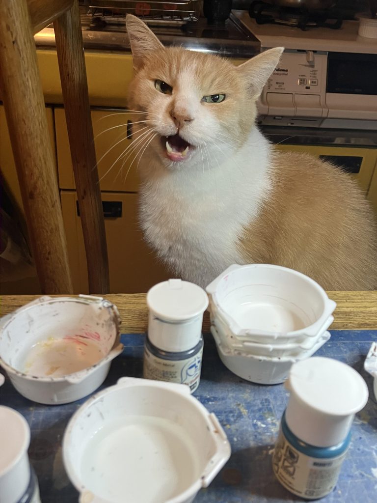 最後まで、ご覧いただきありがとうございましたm(_ _)m