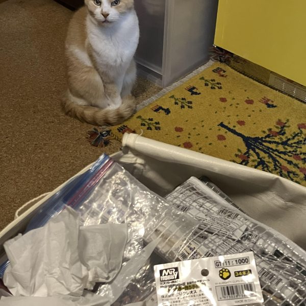 見れば分かるわ!!( ´Д｀)っ))Дﾟ)・∵. 今日は開始が遅かったのと武装を足したりしていたので下地塗装まで🖌️ますらおさんから教わったシュツルムの懸架方法を自分なり…と言うかプラ棒が1m mしかなかったのでランナーにプラ板貼って、それらしくしてみました  （4枚目）