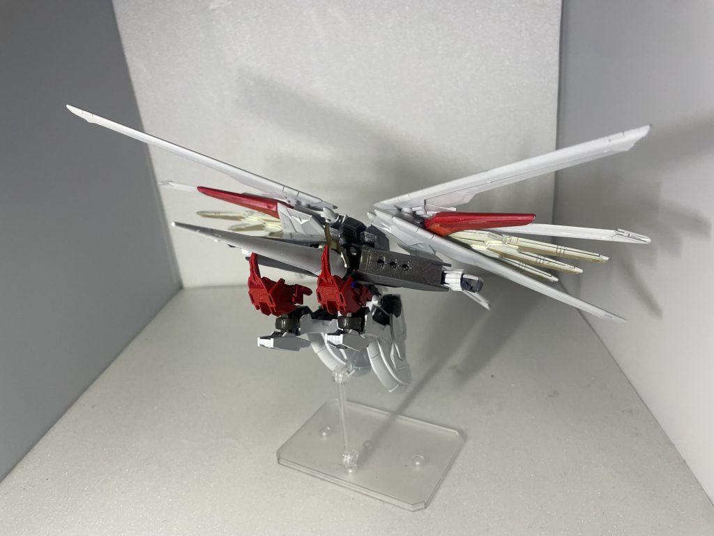 撹乱時の変形形態。