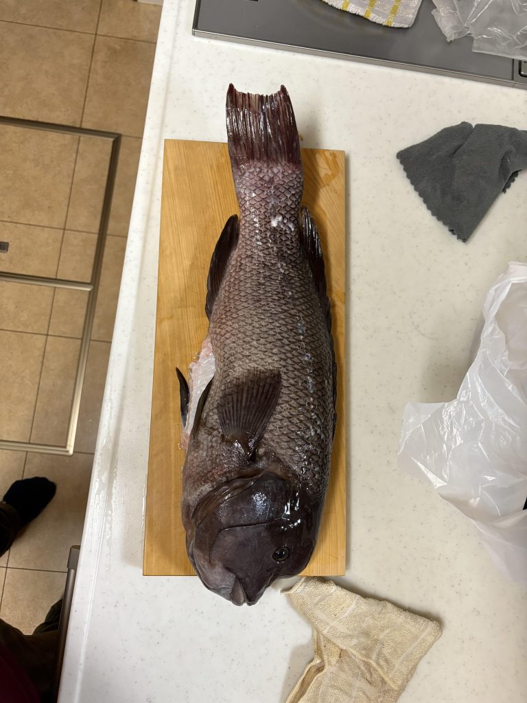 作品名：白組頑張れ〜<p>白組が大差をつけられてる…アタシは認めんぞ〜(zaku-kao8) こうなったら、ガンタンクの砲身でアレを作るしかない(zaku-kao8) 間に合うのか…考えてる時間はない…やるしか [&hellip;]</p>
