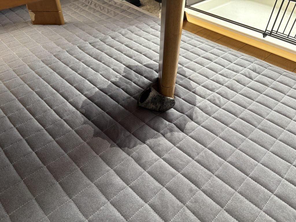 作品名：第三バトン緊急指令<p>第三バトンが停滞してたので、無理矢理フリーダムウイングさんにバトンを託しました(zaku-kao8) グフカス君で止まってたかと思いますが（違ってたらごめんなさいね）、こういうこともアリということでご理解ください(zak […]</p>
