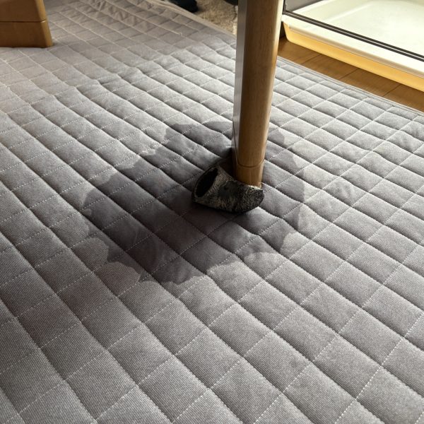 第三バトン緊急指令