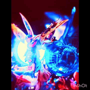 白組頑張れ！！