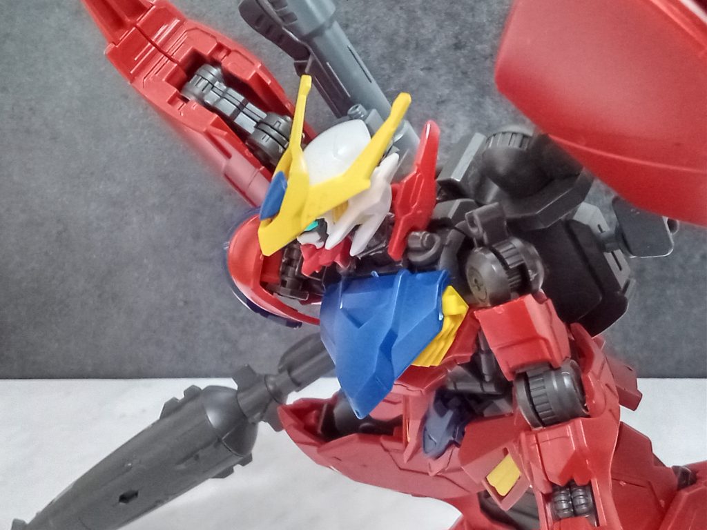 綺麗に撮れました(zaku-kao2)