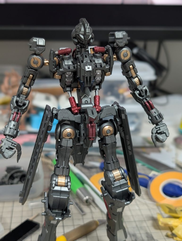 フレーム塗装したけど見えなくなっちゃったねぇ