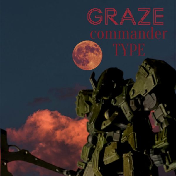 グレイズ　指揮官機　　ver.AK