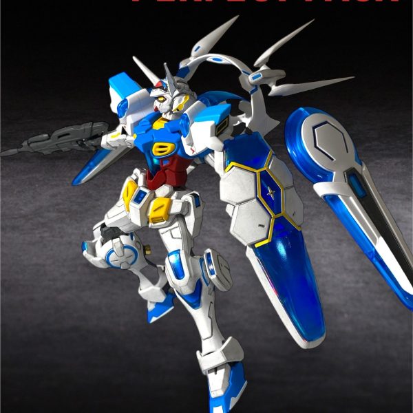 HG Gセルフパーフェクトパック