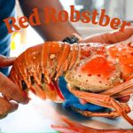 今でも細々と生き残ってる^_^