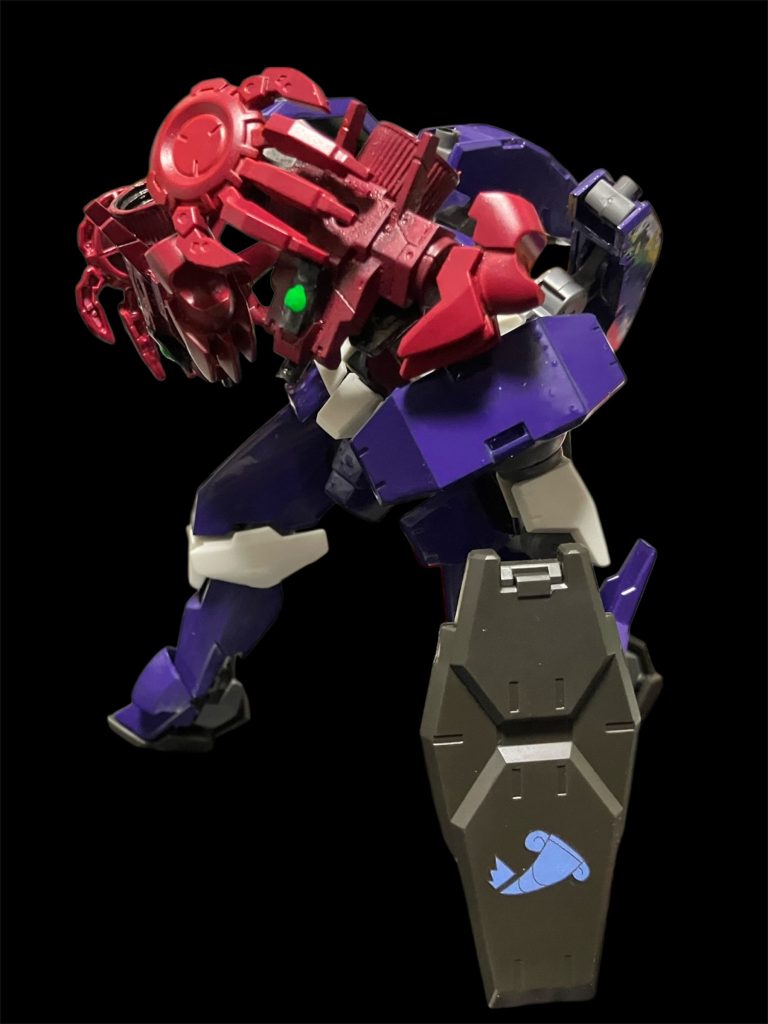 プルーマ寄生例2。