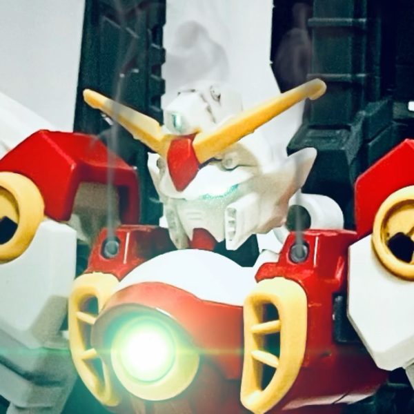 白組での参戦！