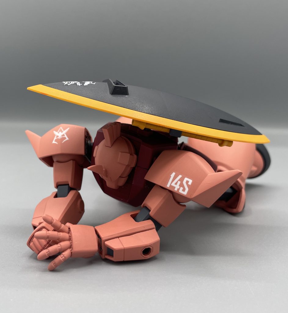 大佐・・・ ララァ・バギーを爆風から防ぐの図。