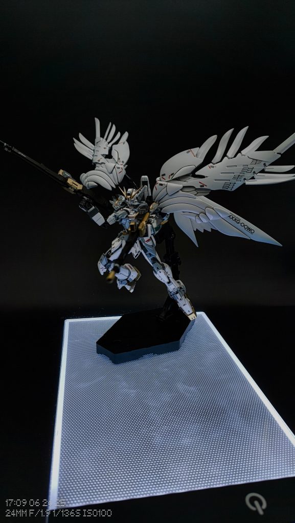 翼がカッケェよ、、どんなポーズでもいけるやんけ