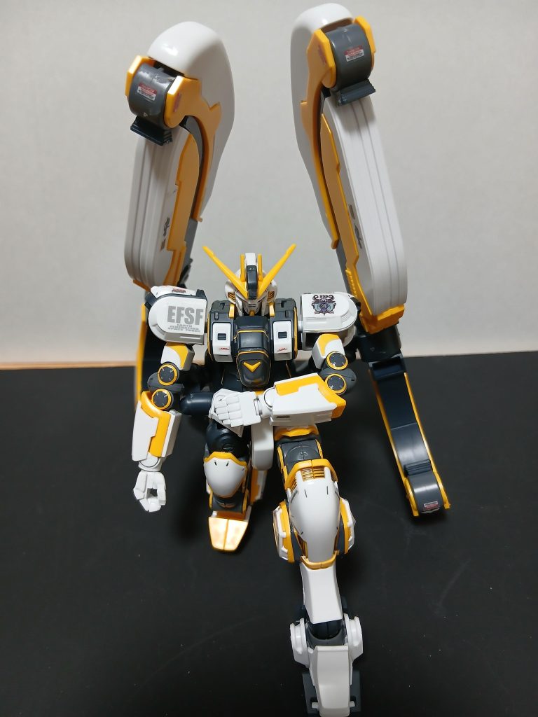 本年もみなさまが素敵な１年でありますようにRISING SUN！