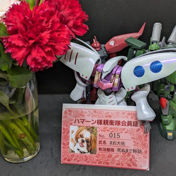 ハマーン様、お誕生日おめでとうございます！