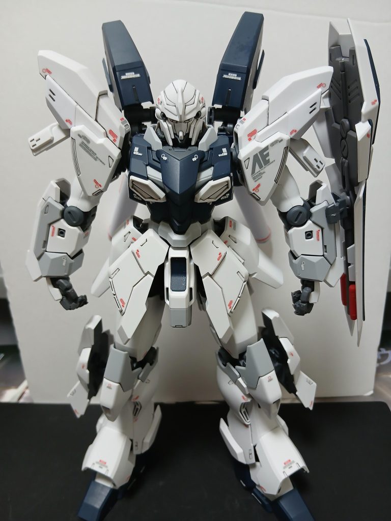 作業内容は墨入れデカール貼り艶消しコートです&nbsp;