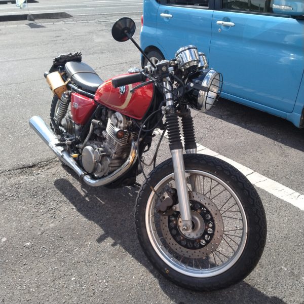 私の愛馬は凶暴です