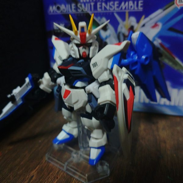 あけましておめでとうございます!　今年はフリーダムに頑張ります！！