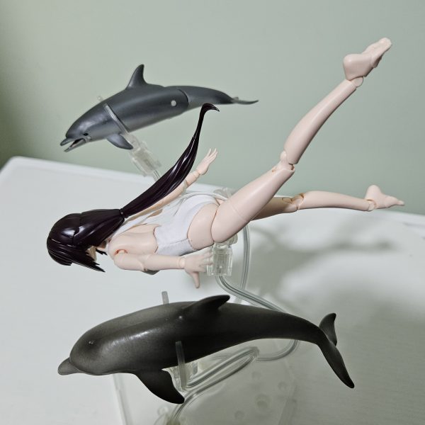 例のアレの原作再現を作りたいんだが、カメラアングルでどう頑張っても怒られそうというゼロシステムの予測がががががうん、作ってから考えようボディは別の美プラから、これを作るためにわざわざもう一個買ってきたイルカは可動ありの方は淡島の水族館で買ったもの、可動なしの方は適当に買ったおもちゃかな…？原作シーンから離れるが、一応着せる水着も用意してありますオプションパーツ（意味深）の合わせ目なら処理済みだけど、本体キットは昨日買ったばかりだから素組みしかしてない。塗装も当然してないからどのみちアナザーコンには間に会えそうにないんだね（3枚目）