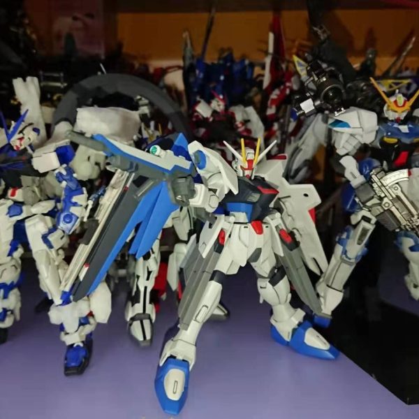 HG•フリーダムガンダム