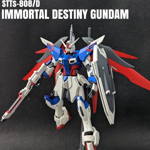 イモータルデスティニーガンダム