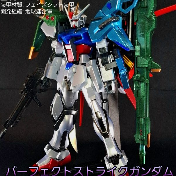 EG パーフェクトストライク