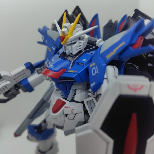 ライジングフリーダムガンダム
