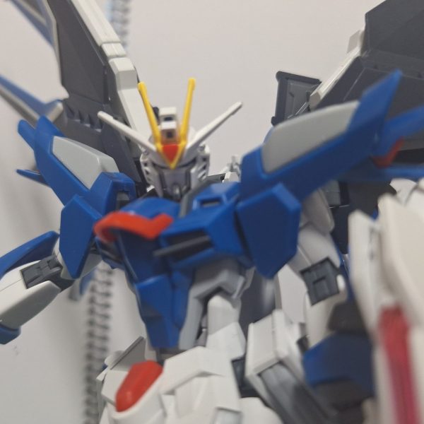 HG　ライジングフリーダムガンダム