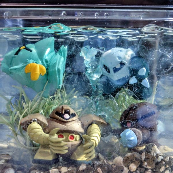 ジオン水泳部アクアリウム