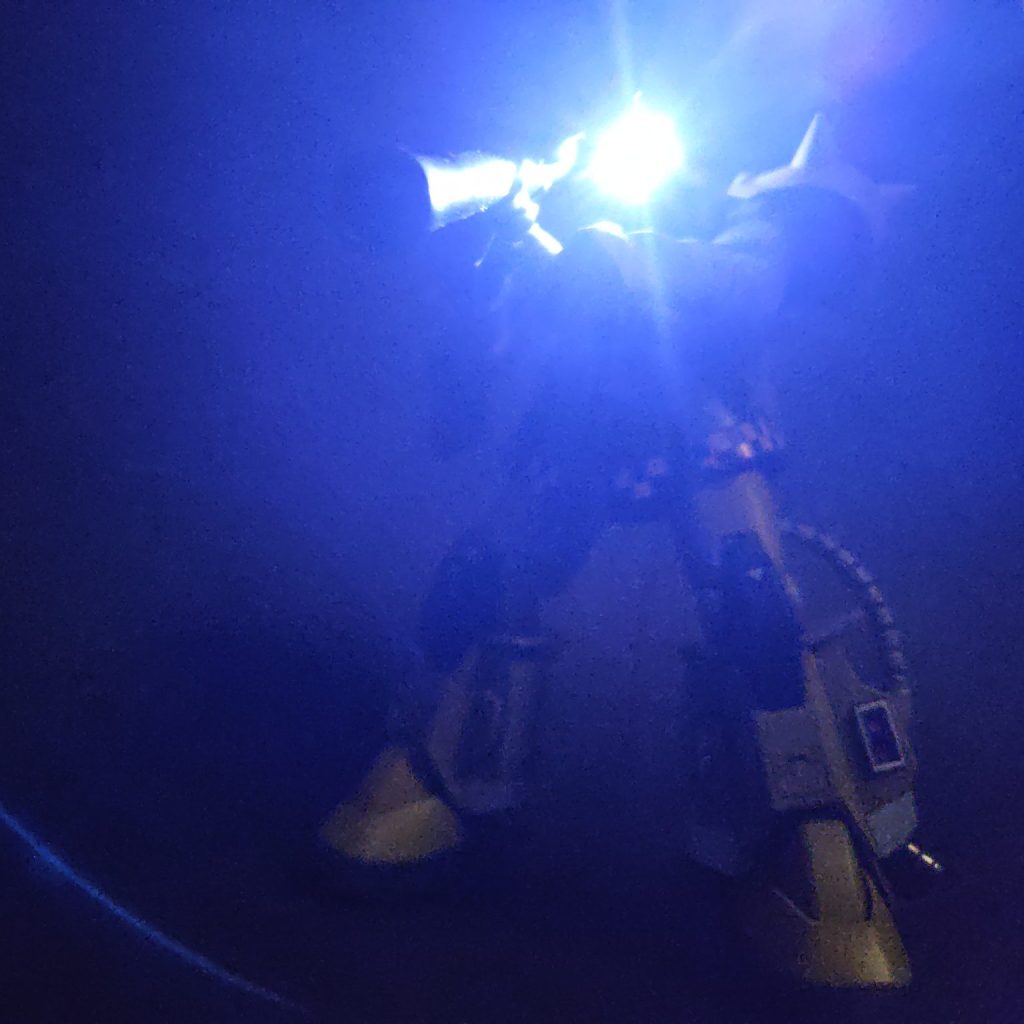 ア・バオア・クー防衛隊 「高機動型ザクII」｜青蛙さんのガンプラ作品