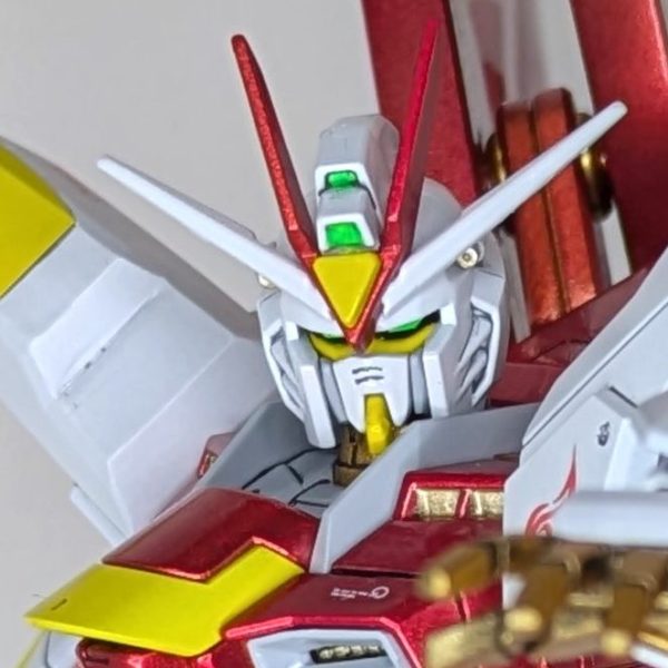 HG ストライクフリーダム 朱雀舞焔