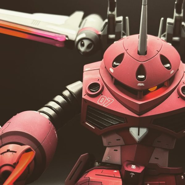 HGCE260ズゴック seedfreedom ver.