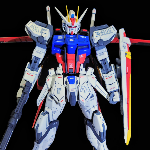 今年初はエールストライク(⁠ﾉ⁠◕⁠ヮ⁠◕⁠)⁠ﾉ⁠*⁠.⁠✧