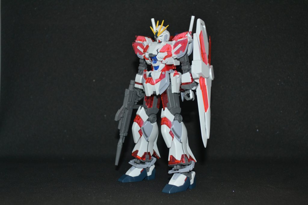 俺も鳥になる！！