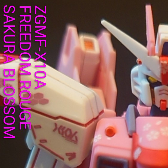 フリーダムルージュ　サクラBLOSSOM
