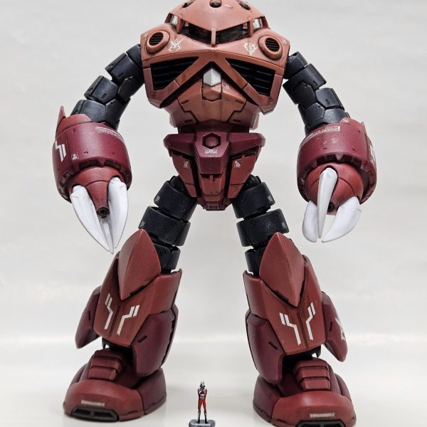 RG ズゴック専用シャア